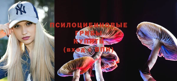 spice Киренск