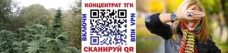 Купить закладки  Николаевск  Дистиллят ТГК Wax 