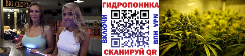 Купить закладки  Николаевск  Конопля сатива 
